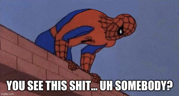 do you see this shit blank | YOU SEE THIS SHIT... UH SOMEBODY? | image tagged in do you see this shit blank | made w/ Imgflip meme maker