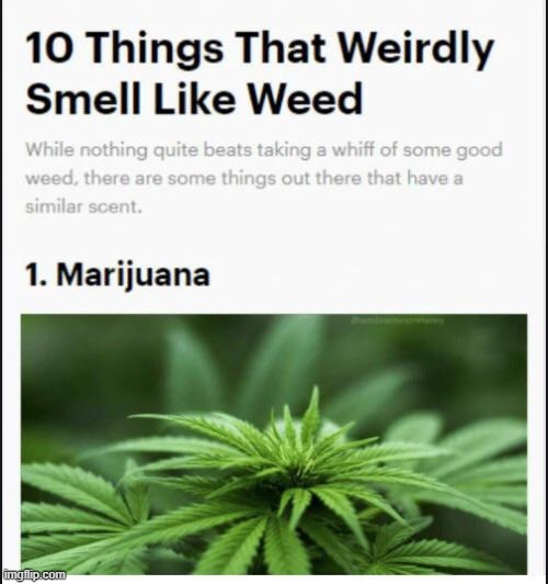 weird | made w/ Imgflip meme maker