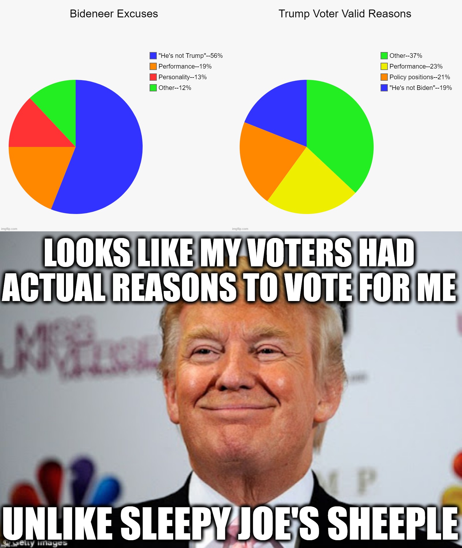 Guess who's smarter. | LOOKS LIKE MY VOTERS HAD ACTUAL REASONS TO VOTE FOR ME; UNLIKE SLEEPY JOE'S SHEEPLE | image tagged in donald trump approves,bideneer logic | made w/ Imgflip meme maker