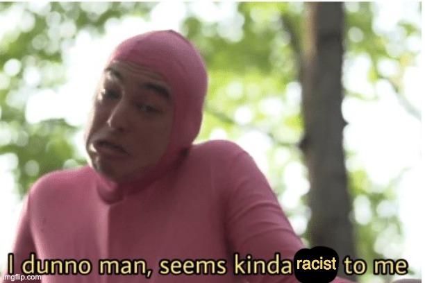 I dunno man seems kinda gay to me | racist | image tagged in i dunno man seems kinda gay to me | made w/ Imgflip meme maker