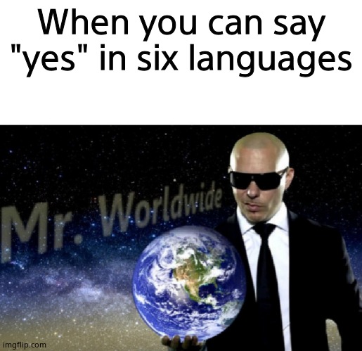 Mr. Worldwide | When you can say "yes" in six languages | image tagged in mr worldwide | made w/ Imgflip meme maker