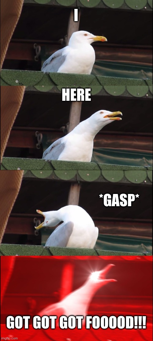 Inhaling Seagull | I; HERE; *GASP*; GOT GOT GOT FOOOOD!!! | image tagged in memes,inhaling seagull | made w/ Imgflip meme maker