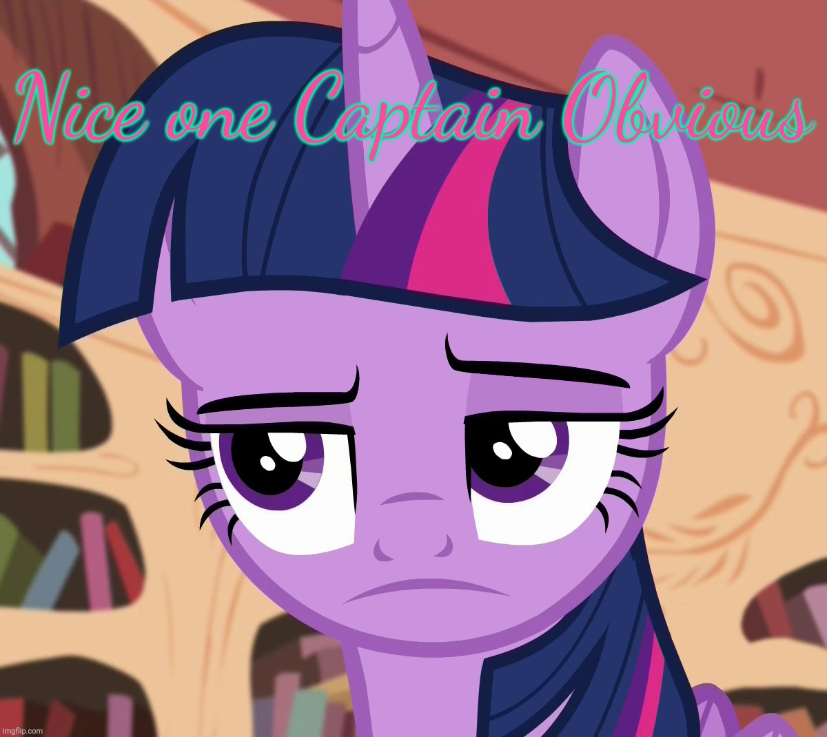 Unamused Twilight Sparkle (MLP) | Nice one Captain Obvious | image tagged in unamused twilight sparkle mlp | made w/ Imgflip meme maker