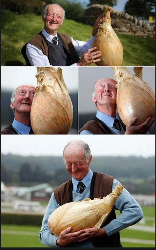 onion Blank Meme Template