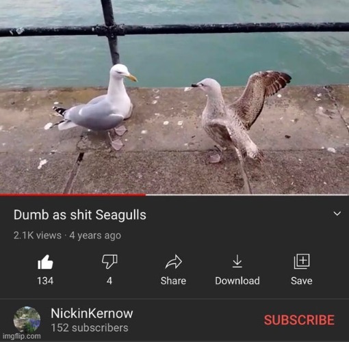 seagulls | made w/ Imgflip meme maker