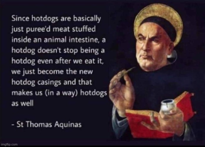 St. Thomas Aquinas hot dogs | image tagged in st thomas aquinas hot dogs | made w/ Imgflip meme maker