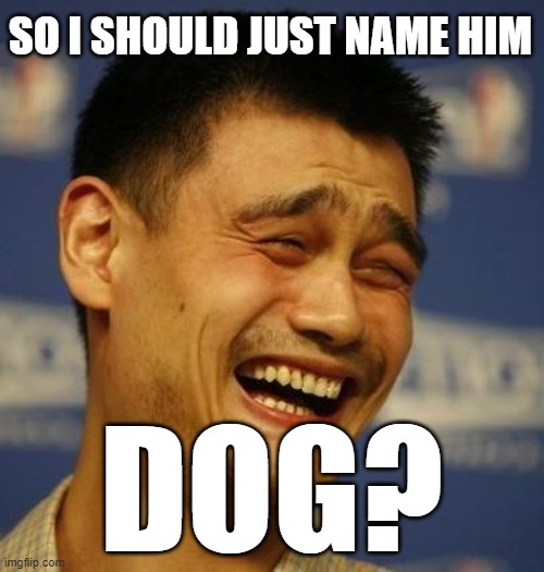 fnny asian man | SO I SHOULD JUST NAME HIM DOG? | image tagged in fnny asian man | made w/ Imgflip meme maker