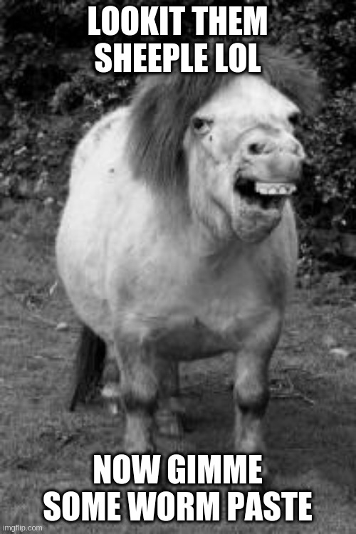 ugly horse | LOOKIT THEM SHEEPLE LOL NOW GIMME SOME WORM PASTE | image tagged in ugly horse | made w/ Imgflip meme maker