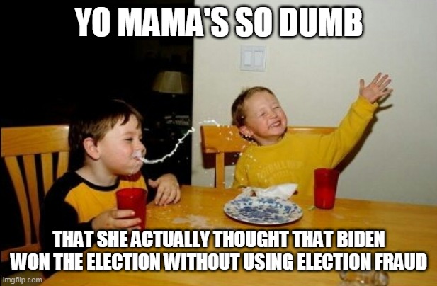 Yo Mamas So Fat | YO MAMA'S SO DUMB; THAT SHE ACTUALLY THOUGHT THAT BIDEN WON THE ELECTION WITHOUT USING ELECTION FRAUD | image tagged in memes,yo mamas so fat,election fraud,voting,stupid,funny | made w/ Imgflip meme maker