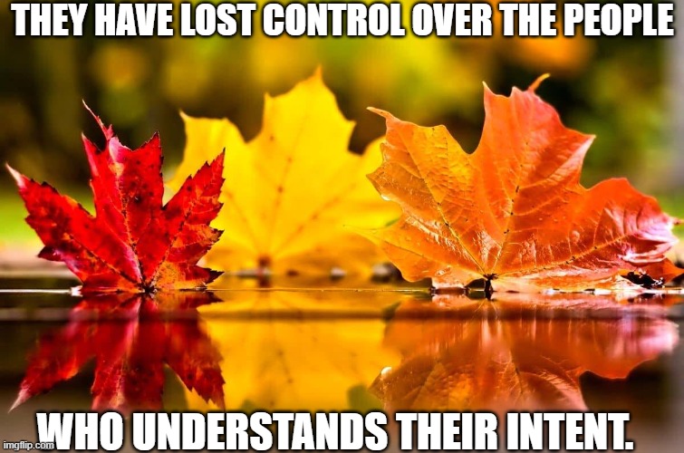 fun | THEY HAVE LOST CONTROL OVER THE PEOPLE; WHO UNDERSTANDS THEIR INTENT. | image tagged in funny memes | made w/ Imgflip meme maker