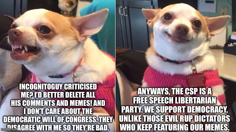 The “Common Sense” party’s founder has no common sense. | ANYWAYS, THE CSP IS A FREE SPEECH LIBERTARIAN PARTY. WE SUPPORT DEMOCRACY, UNLIKE THOSE EVIL RUP DICTATORS WHO KEEP FEATURING OUR MEMES. INCOGNITOGUY CRITICISED ME? I’D BETTER DELETE ALL HIS COMMENTS AND MEMES! AND I DON’T CARE ABOUT THE DEMOCRATIC WILL OF CONGRESS. THEY DISAGREE WITH ME SO THEY’RE BAD. | image tagged in op,is,a,hypocrite | made w/ Imgflip meme maker