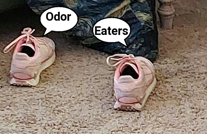 The agony of da feet | Odor; Eaters | image tagged in stinky,workout,shoes,feet,agony | made w/ Imgflip meme maker