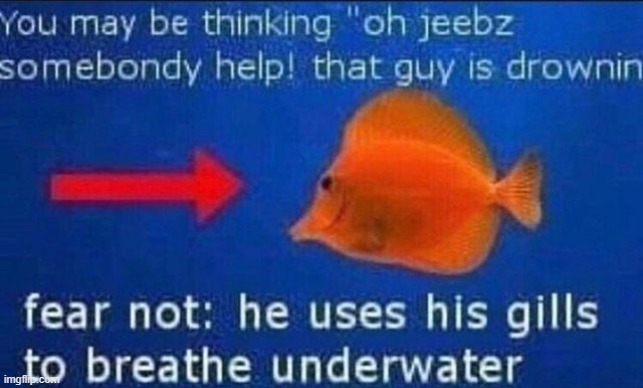 fear not | made w/ Imgflip meme maker