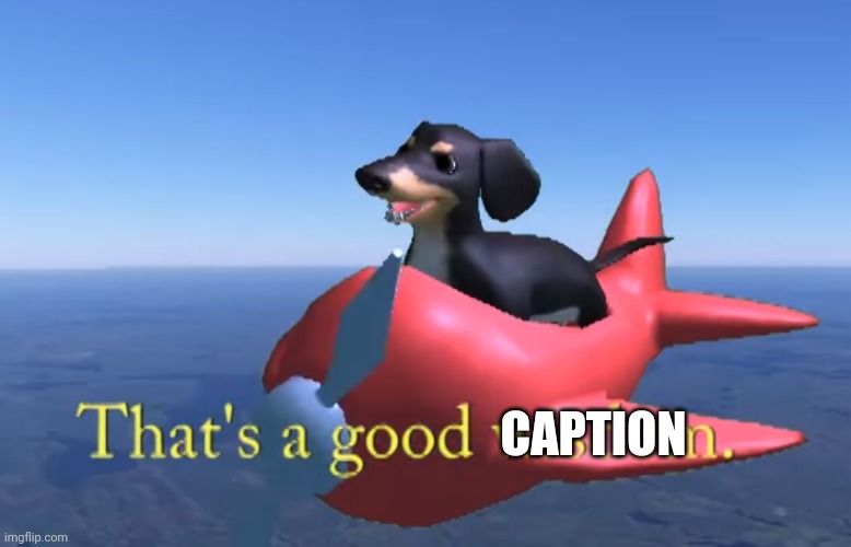 That's a good wisdom. | CAPTION | image tagged in that's a good wisdom | made w/ Imgflip meme maker