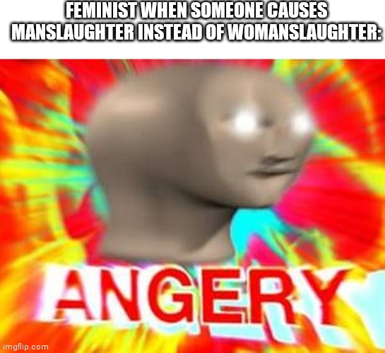 Surreal Angery |  FEMINIST WHEN SOMEONE CAUSES MANSLAUGHTER INSTEAD OF WOMANSLAUGHTER: | image tagged in surreal angery | made w/ Imgflip meme maker