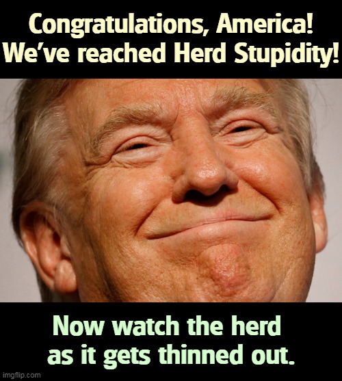 Herd Stupidity. | Congratulations, America!
We've reached Herd Stupidity! Now watch the herd 
as it gets thinned out. | image tagged in trump smile,stupid,crowd,dead,soon | made w/ Imgflip meme maker