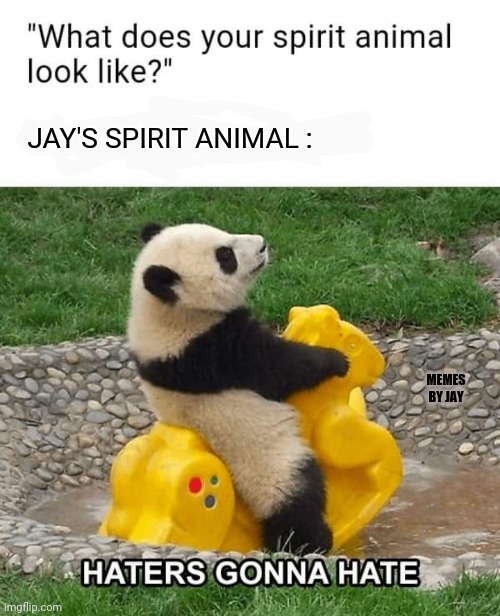 You go, Boi | JAY'S SPIRIT ANIMAL :; MEMES BY JAY | image tagged in haters,spirit animal,panda | made w/ Imgflip meme maker