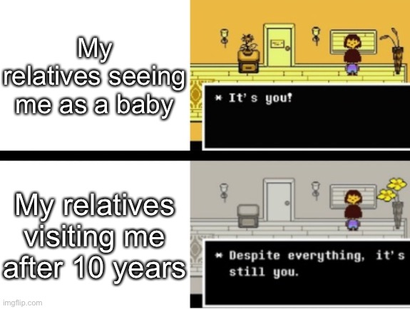 Despite everything, its still you | My relatives seeing me as a baby; My relatives visiting me after 10 years | image tagged in despite everything its still you | made w/ Imgflip meme maker