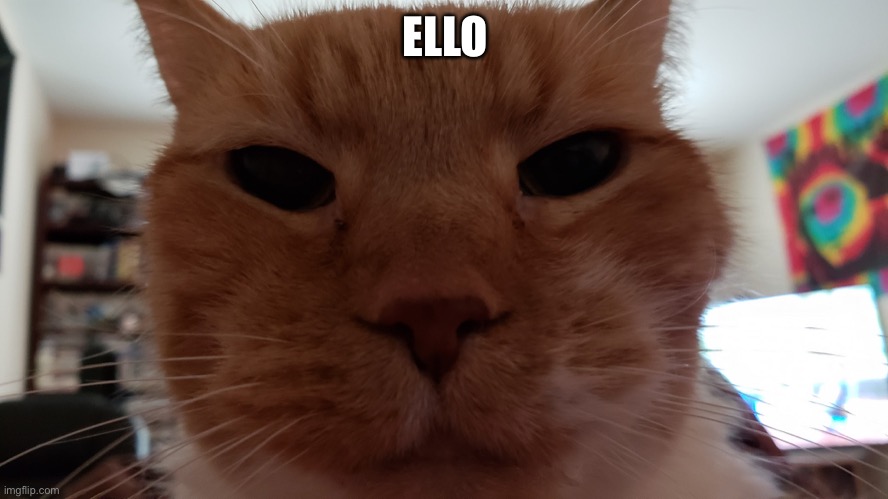 Ello Uman | ELLO | image tagged in ello uman | made w/ Imgflip meme maker