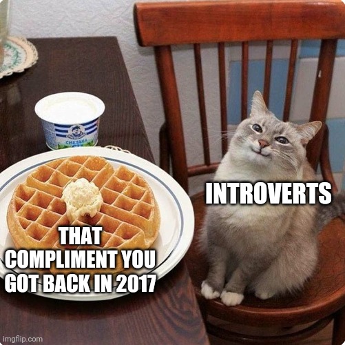 Waffle cat | THAT COMPLIMENT YOU GOT BACK IN 2017; INTROVERTS | image tagged in waffle cat | made w/ Imgflip meme maker