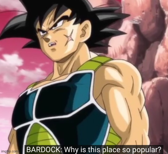 Why is this place so popular | image tagged in why is this place so popular | made w/ Imgflip meme maker