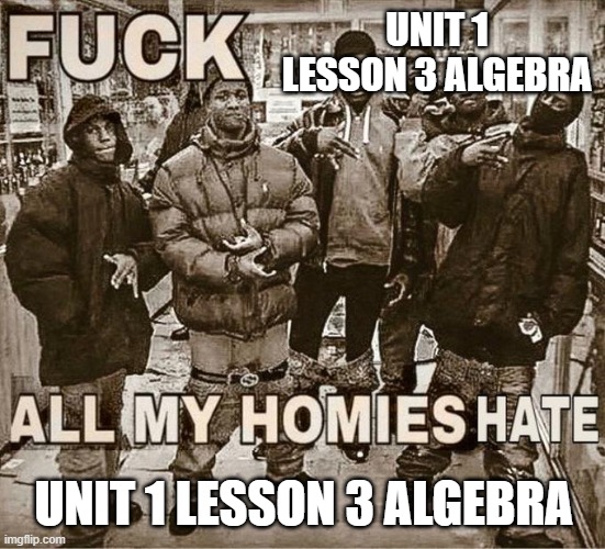 mmmmmmmmmmmmmmmmmmmmmmmm | UNIT 1 LESSON 3 ALGEBRA; UNIT 1 LESSON 3 ALGEBRA | image tagged in fuck x all my homies hate x | made w/ Imgflip meme maker