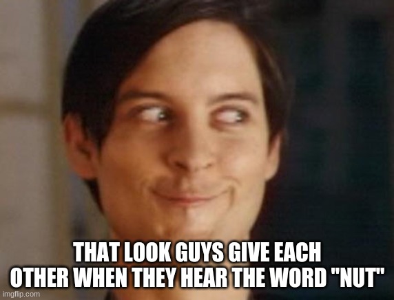 i understand this | THAT LOOK GUYS GIVE EACH OTHER WHEN THEY HEAR THE WORD "NUT" | image tagged in memes,spiderman peter parker | made w/ Imgflip meme maker