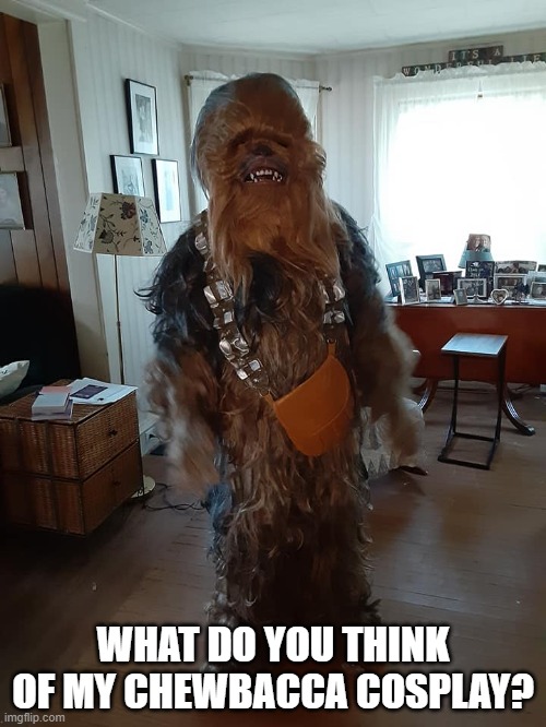 This cost me over $300.00! | WHAT DO YOU THINK OF MY CHEWBACCA COSPLAY? | image tagged in cosplay,chewbacca,star wars,autism | made w/ Imgflip meme maker
