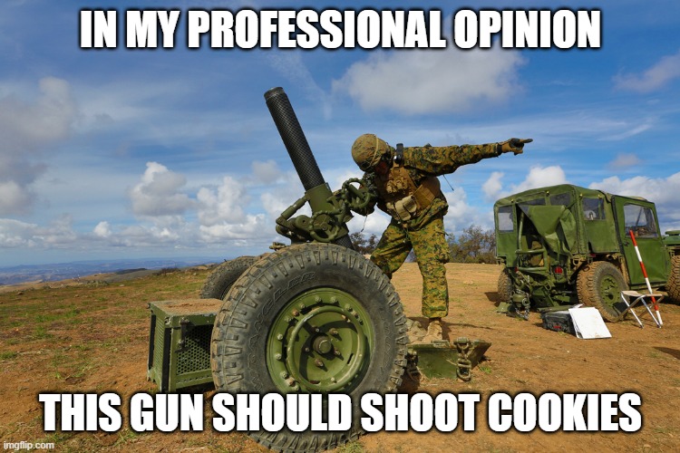 In my professional opinion cookies. | IN MY PROFESSIONAL OPINION; THIS GUN SHOULD SHOOT COOKIES | image tagged in guns,army,opinion,cookies | made w/ Imgflip meme maker