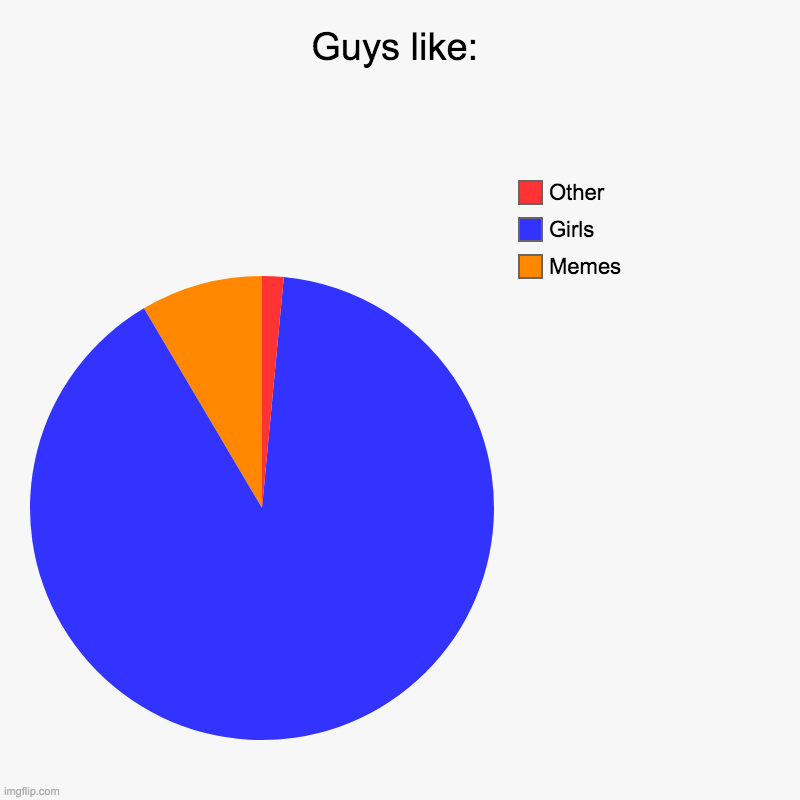 Guys like | Guys like: | Memes, Girls, Other | image tagged in charts,pie charts,guys | made w/ Imgflip chart maker
