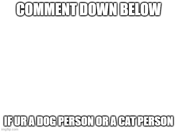 dogs or cats |  COMMENT DOWN BELOW; IF UR A DOG PERSON OR A CAT PERSON | image tagged in blank white template | made w/ Imgflip meme maker