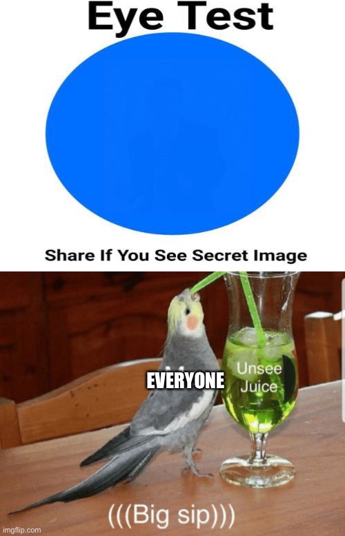 Totally not a Rick Roll eye test ;) | EVERYONE | image tagged in unsee juice,eye test | made w/ Imgflip meme maker