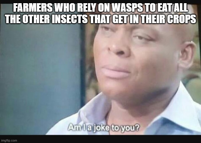 Am I a joke to you? | FARMERS WHO RELY ON WASPS TO EAT ALL THE OTHER INSECTS THAT GET IN THEIR CROPS | image tagged in am i a joke to you | made w/ Imgflip meme maker
