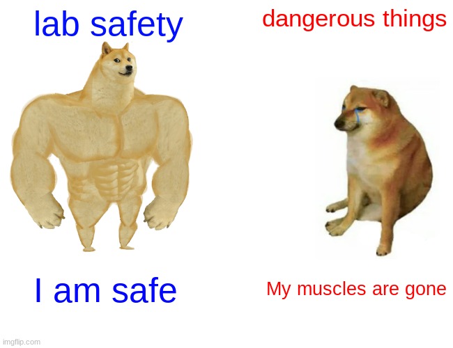 Buff Doge vs. Cheems Meme | lab safety; dangerous things; I am safe; My muscles are gone | image tagged in memes,buff doge vs cheems | made w/ Imgflip meme maker