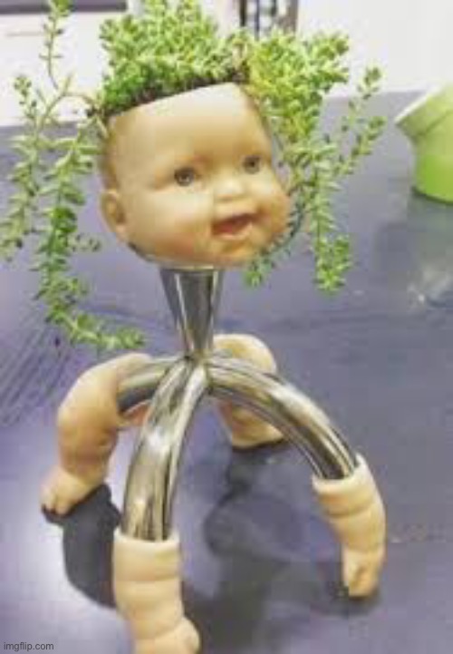 Spider plant baby | image tagged in spider plant baby | made w/ Imgflip meme maker
