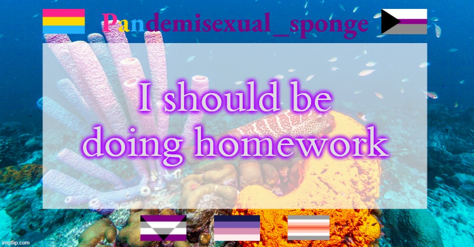 I'll go offline in 5 min | I should be doing homework | image tagged in pandemisexual_sponge temp,demisexual_sponge | made w/ Imgflip meme maker