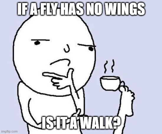 Fly dont know about that | IF A FLY HAS NO WINGS; IS IT A WALK? | image tagged in thinking meme | made w/ Imgflip meme maker