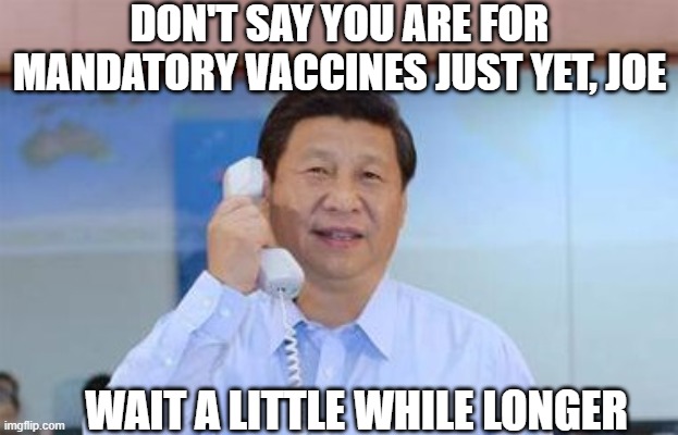 xi jinping | DON'T SAY YOU ARE FOR MANDATORY VACCINES JUST YET, JOE WAIT A LITTLE WHILE LONGER | image tagged in xi jinping | made w/ Imgflip meme maker