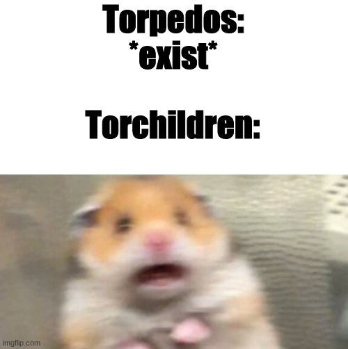 watch out | Torpedos: *exist*; Torchildren: | image tagged in screaming hampster | made w/ Imgflip meme maker