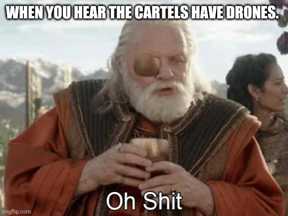 Am I the only one without drones? | WHEN YOU HEAR THE CARTELS HAVE DRONES. | image tagged in memes | made w/ Imgflip meme maker