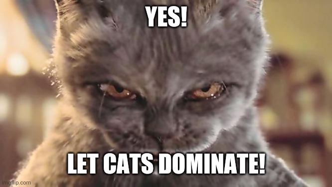 Evil Cat | YES! LET CATS DOMINATE! | image tagged in evil cat | made w/ Imgflip meme maker