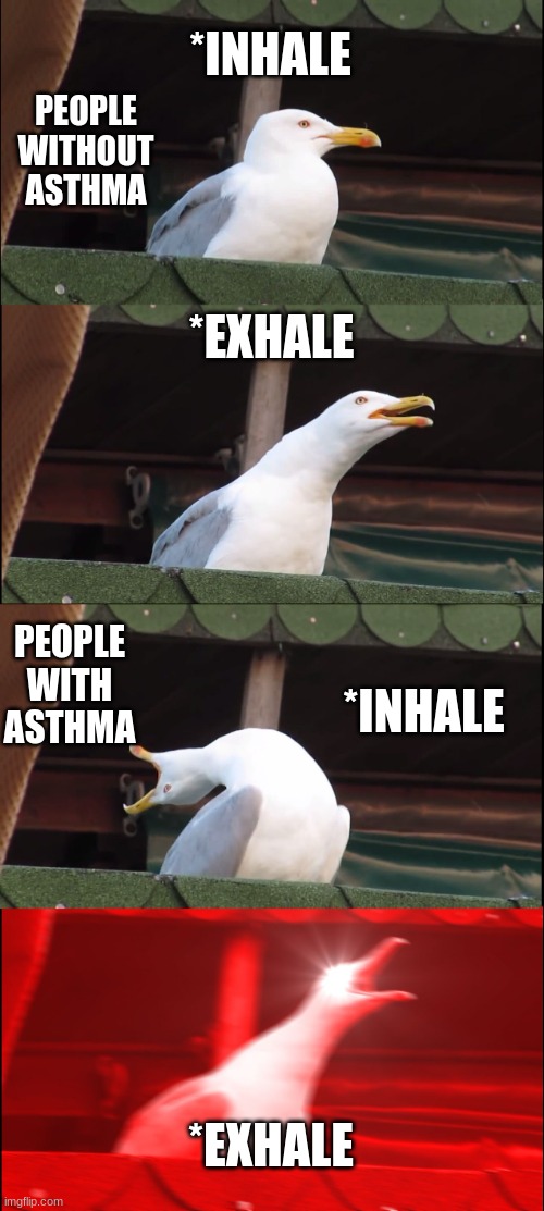 Inhaling Seagull Meme | PEOPLE WITHOUT ASTHMA; *INHALE; *EXHALE; PEOPLE WITH ASTHMA; *INHALE; *EXHALE | image tagged in memes,inhaling seagull | made w/ Imgflip meme maker