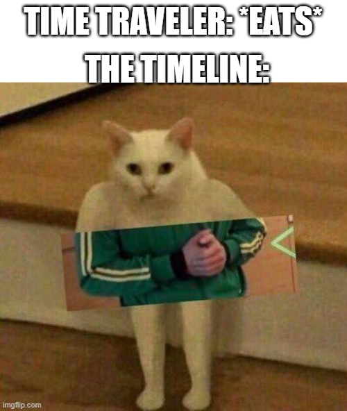 uhgfdbgg | TIME TRAVELER: *EATS*; THE TIMELINE: | image tagged in cursedcat | made w/ Imgflip meme maker