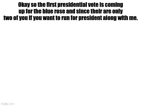 Ay |  Okay so the first presidential vote is coming up for the blue rose and since their are only two of you if you want to run for president along with me. | image tagged in blank white template | made w/ Imgflip meme maker