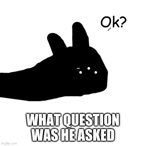 Ok? | WHAT QUESTION WAS HE ASKED | image tagged in ok | made w/ Imgflip meme maker