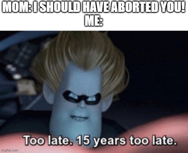 Too late |  MOM: I SHOULD HAVE ABORTED YOU!
ME: | image tagged in too late | made w/ Imgflip meme maker