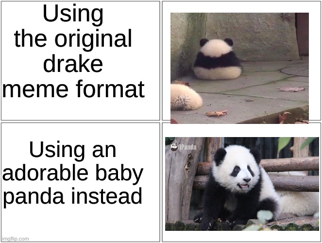 Drake meme gets a new look | Using the original drake meme format; Using an adorable baby panda instead | image tagged in memes,blank comic panel 2x2,panda,cute,drake hotline bling,drake hotline approves | made w/ Imgflip meme maker