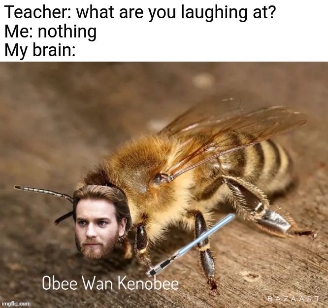 General kenobee! You're A bee one. | Teacher: what are you laughing at?
Me: nothing
My brain: | image tagged in memes,funny | made w/ Imgflip meme maker