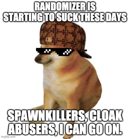 Epic cheems. | RANDOMIZER IS STARTING TO SUCK THESE DAYS; SPAWNKILLERS, CLOAK ABUSERS, I CAN GO ON. | image tagged in epic cheems | made w/ Imgflip meme maker