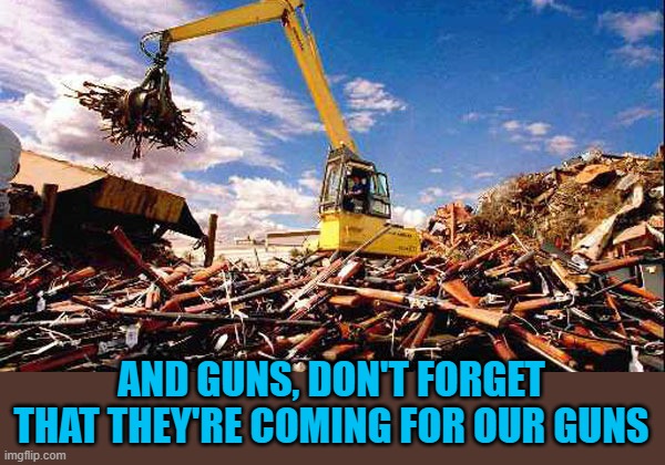 Gun Confiscation in Australia | AND GUNS, DON'T FORGET THAT THEY'RE COMING FOR OUR GUNS | image tagged in gun confiscation in australia | made w/ Imgflip meme maker